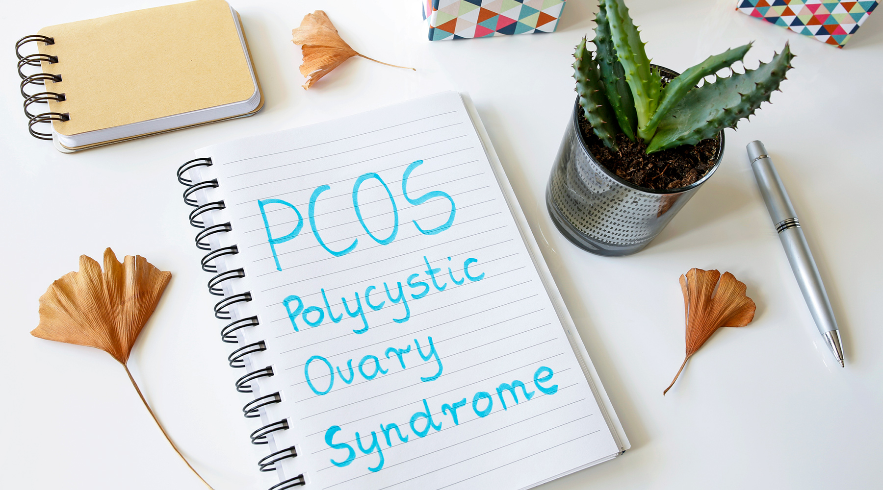 Naturopathic approach to PCOS in Hamilton, Burlington, Stoney Creek